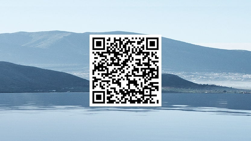 Hyundai Evolve+ iPhone QR code | Dave Hallman Hyundai in Erie PA