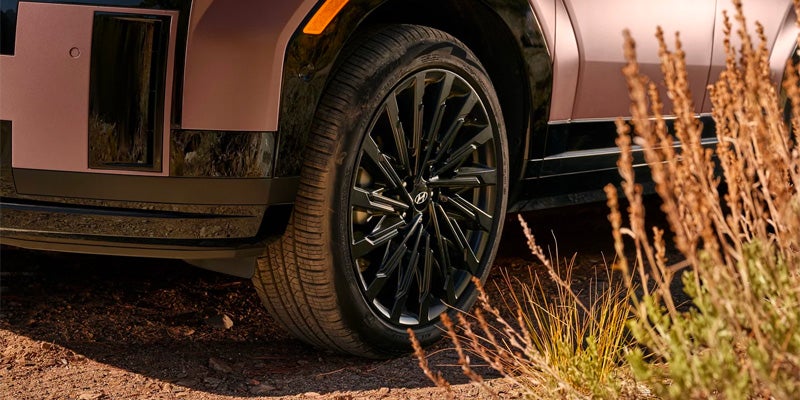Close-up of a black multi-spoke wheel on a bronze vehicle.